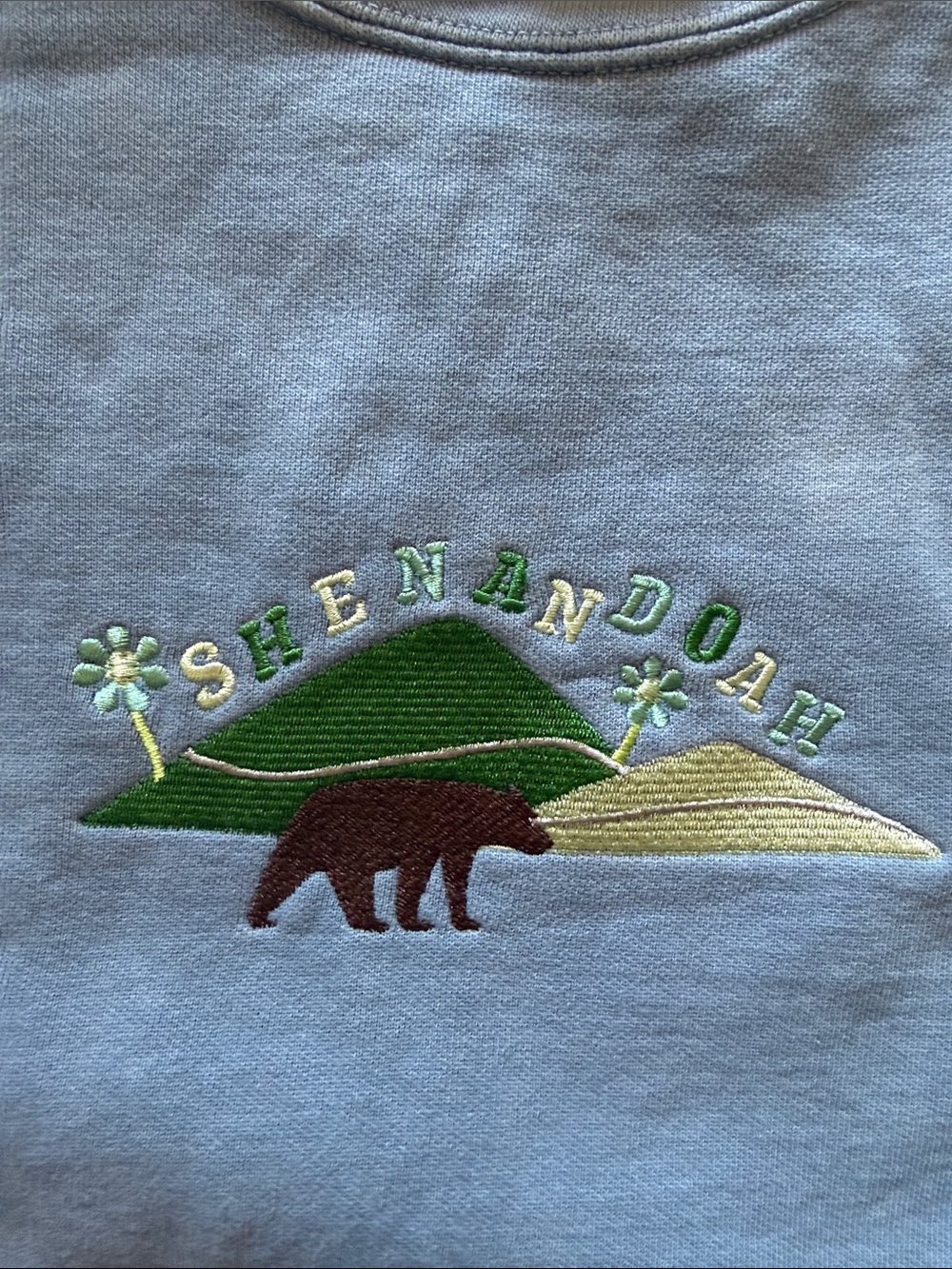 VINTAGE Comfort Colors Light Blue Embroidered Crewneck Sweatshirt Large L - Picture 4 of 7